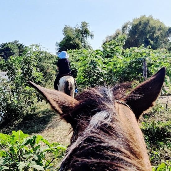 paseo a caballo rio