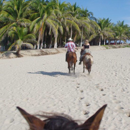 caballos playa Puerto Escondido