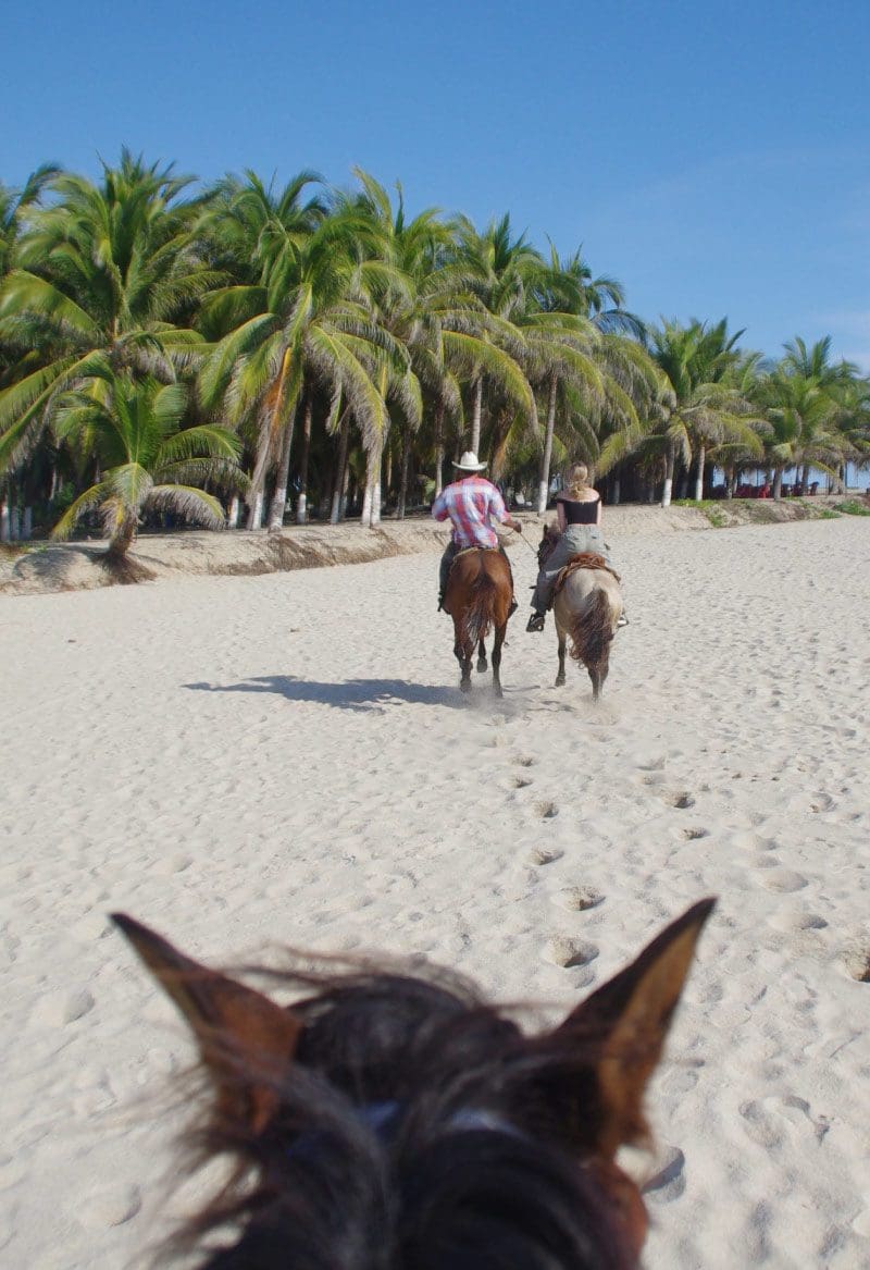 caballos playa Puerto Escondido