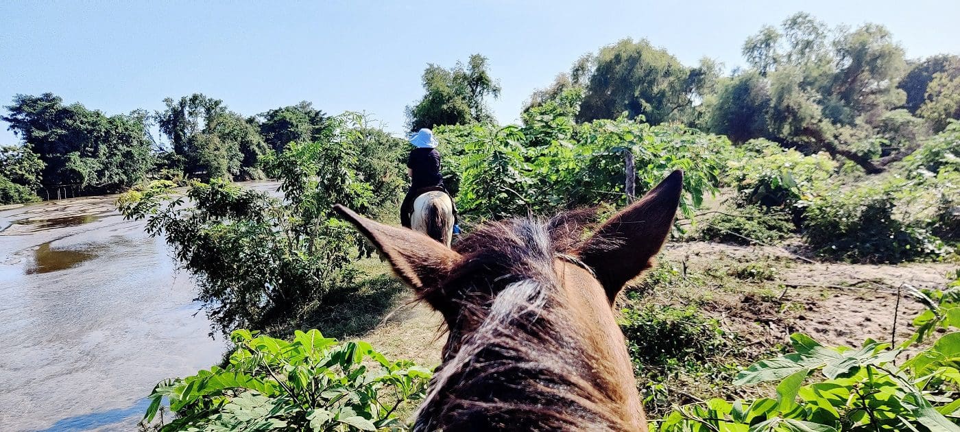 Horseback riding along the river