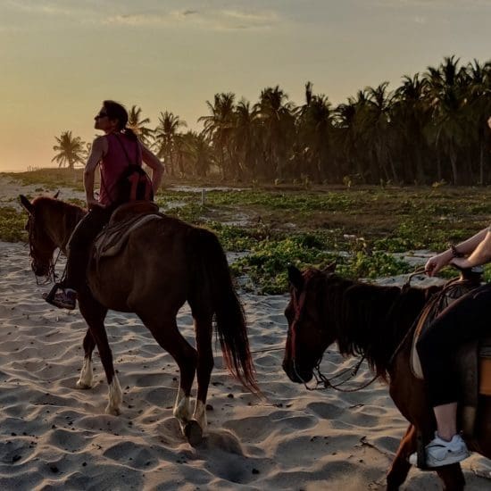 horse riding on the beach