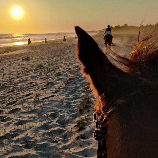 horse riding sunset