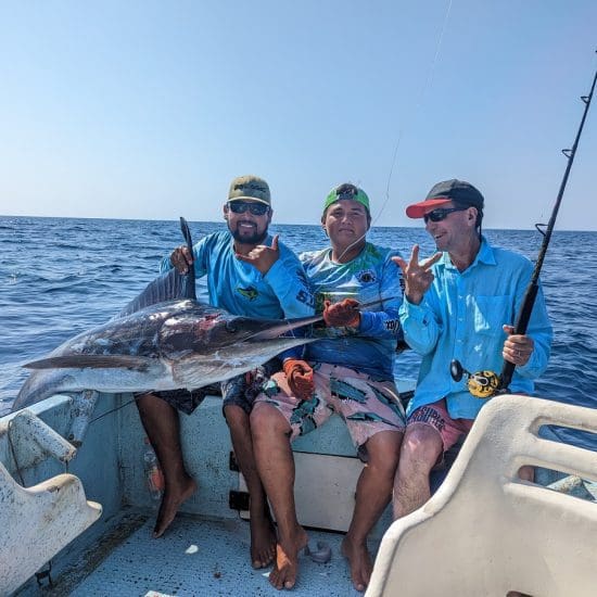 fishing sailfish