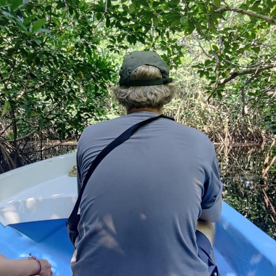 boat mangroves