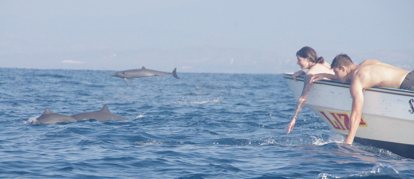 touching dolphins Puerto Escondido
