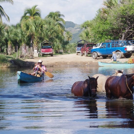 horse crossing lagoon puerto escondido