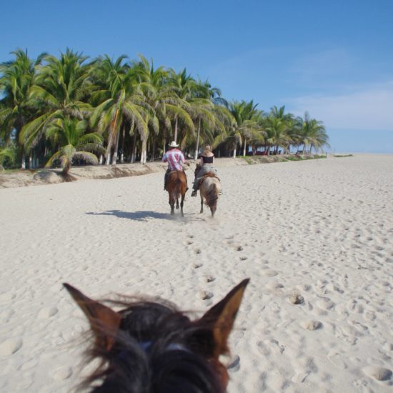 horse riding on the beach in puerto escondido