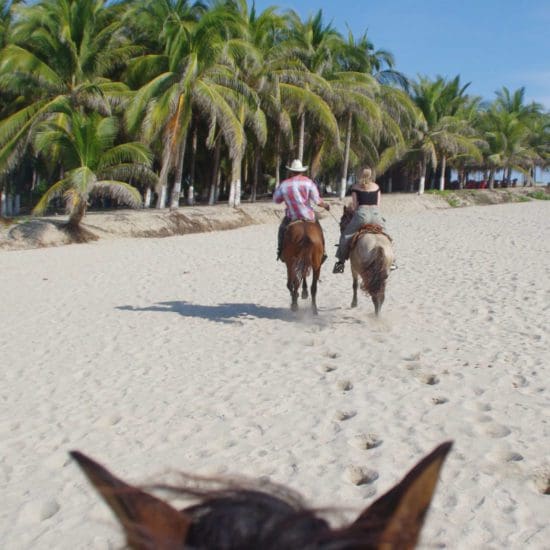 sunset horseback riding