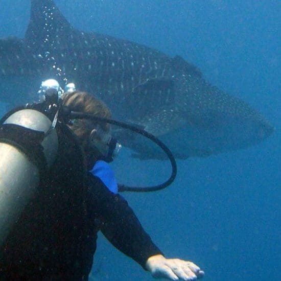 scubadiving puerto escondido