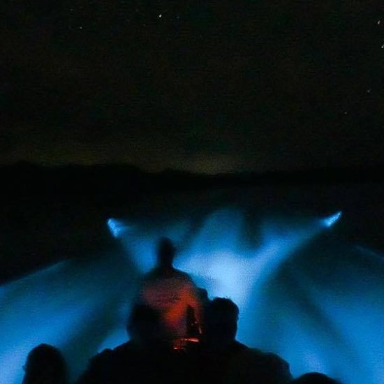 Bioluminescence depuis bateau