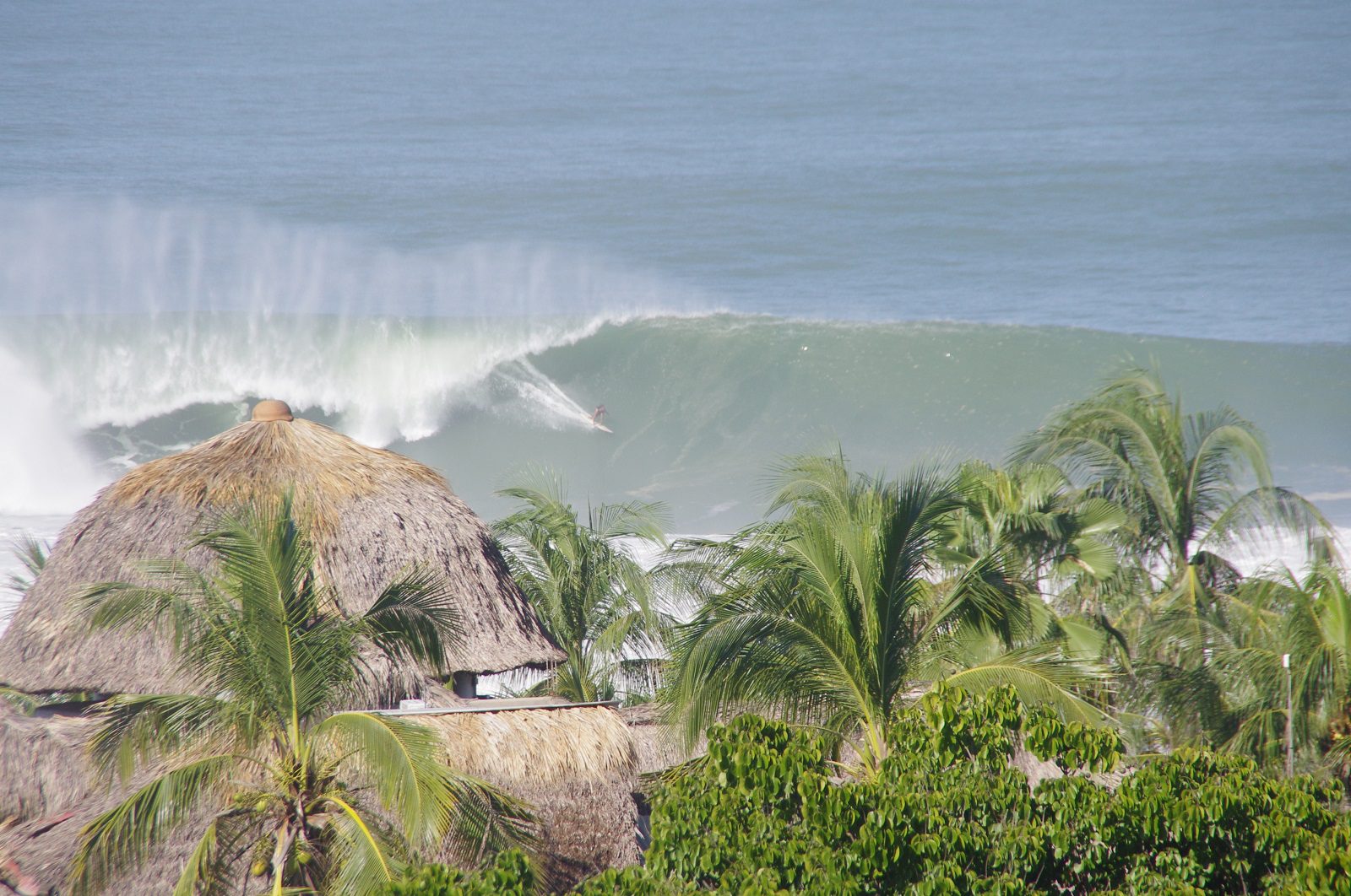 olas grandes surf