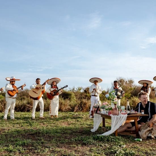 picnic con musica