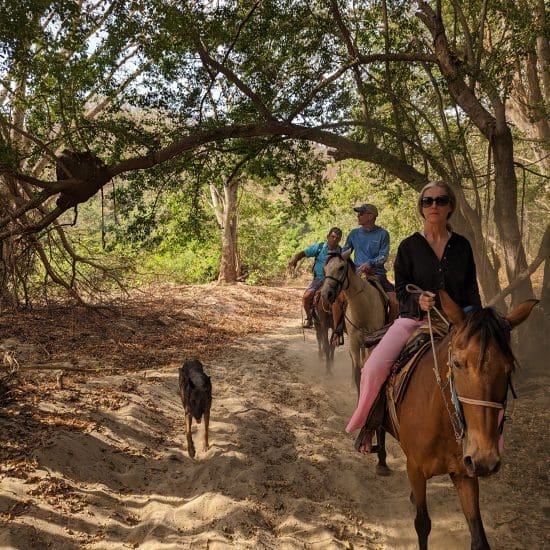 horseback riding with our dog