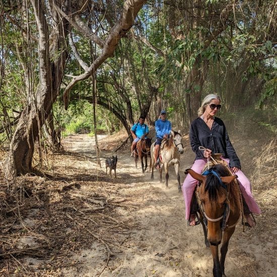 horseback riding in the jungle