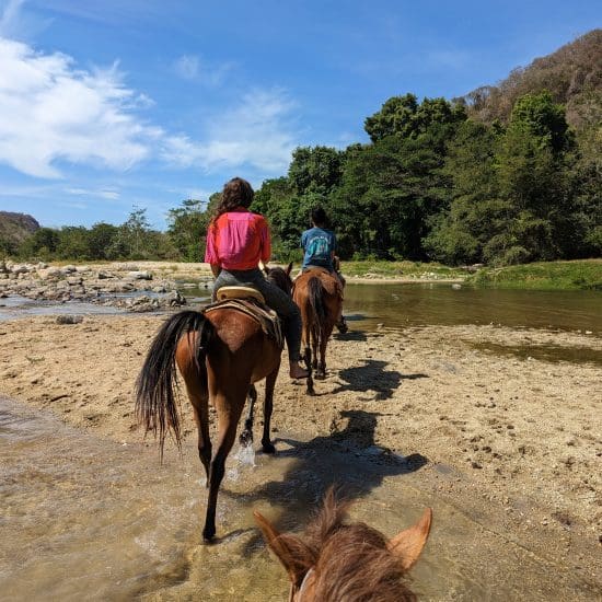 horseback riding from behind