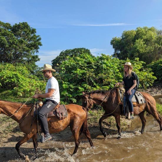 horseback riding river