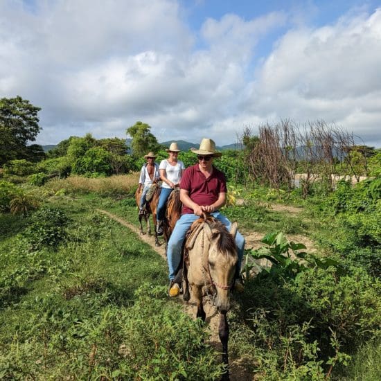 horseback riding field