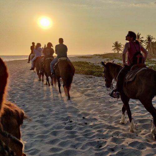 private horseback riding sunset