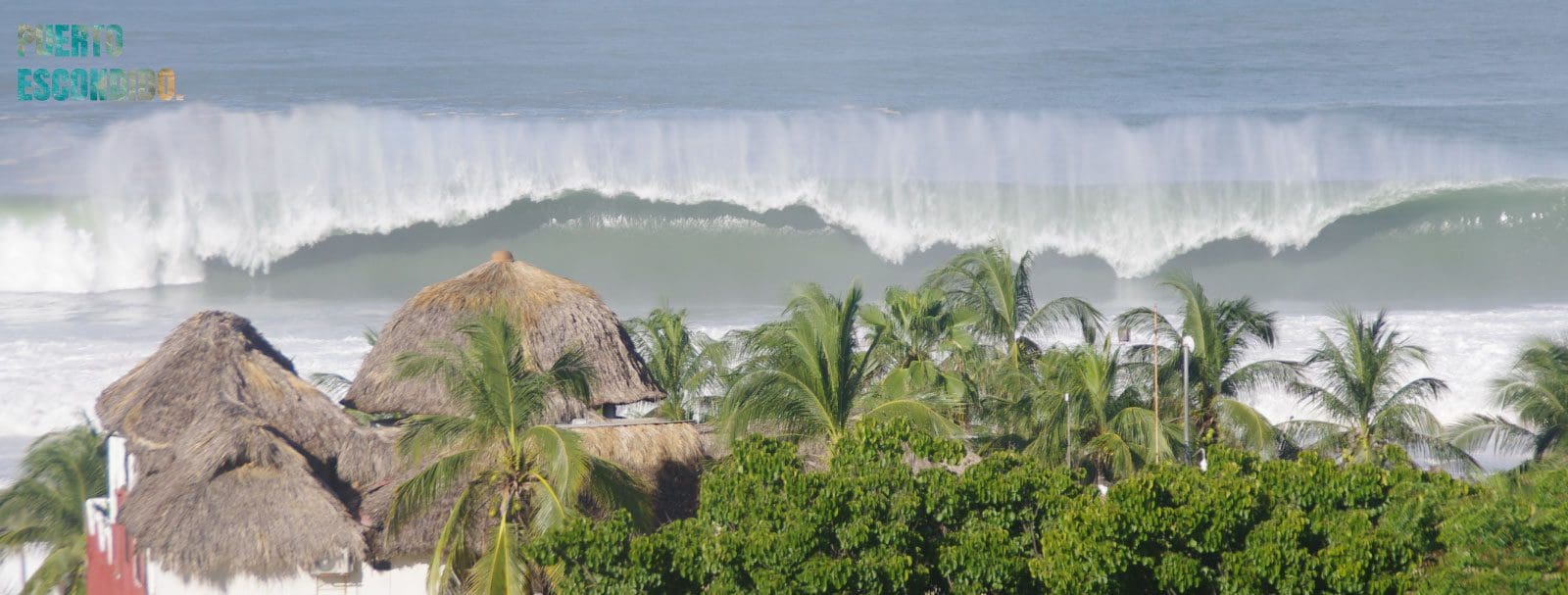 view zicatela beach