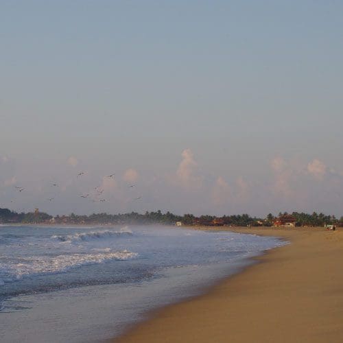 playa zipolite oaxaca