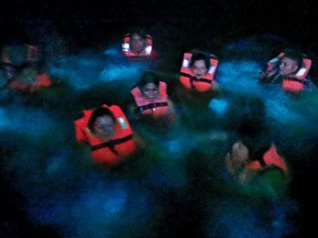 bioluminescence tour