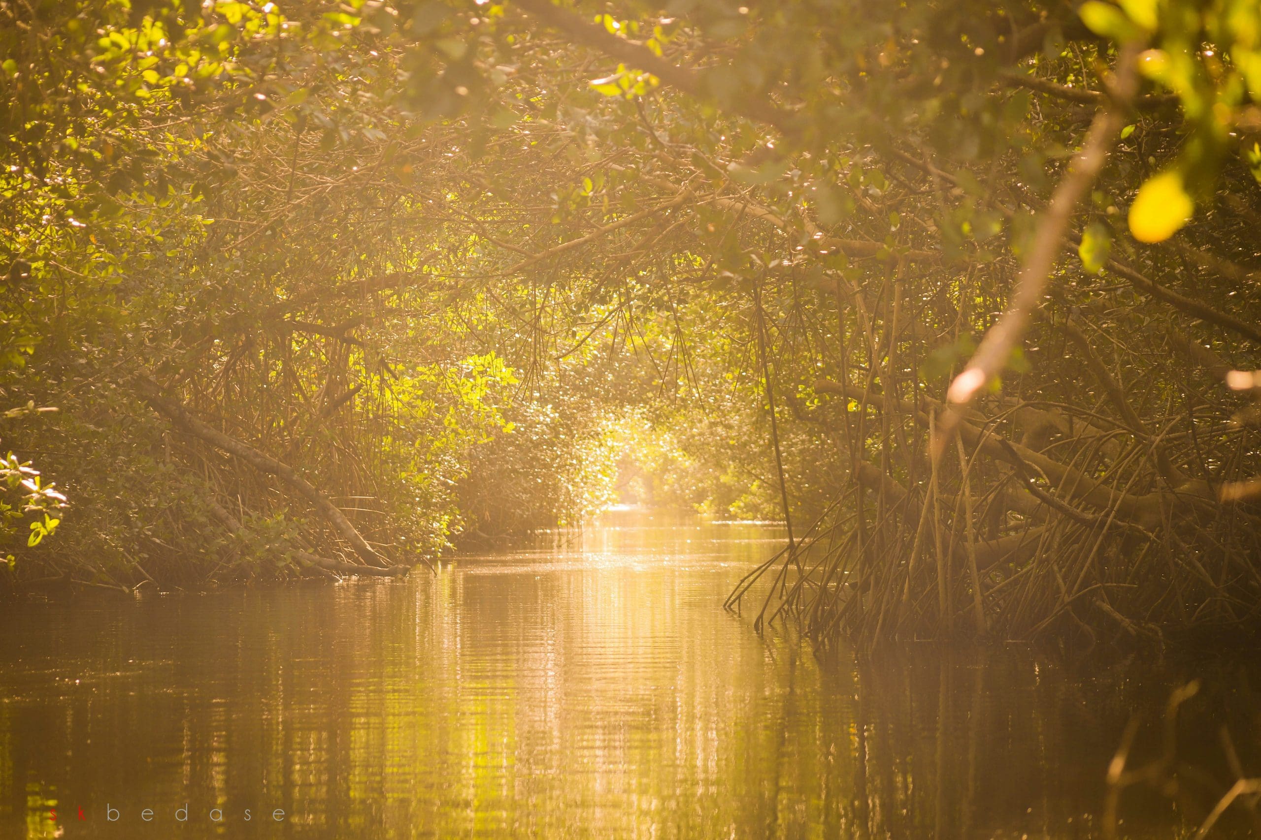 laguna ventanilla puerto escondido