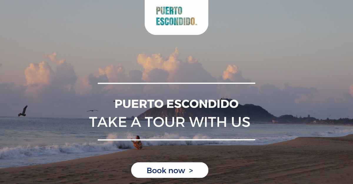 puerto escondido tours