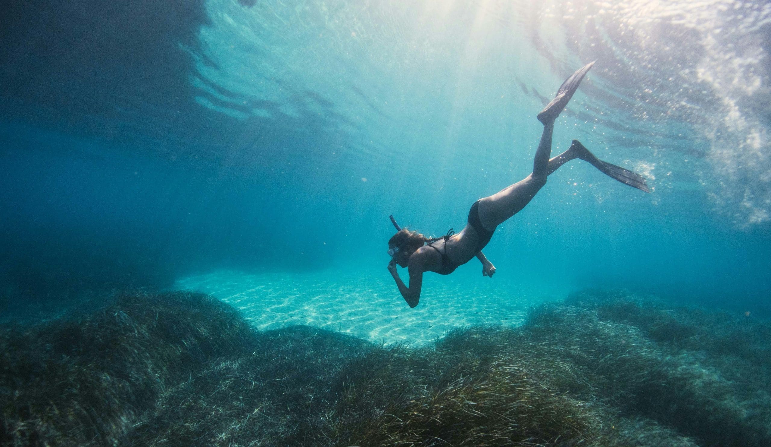 snorkelling puerto escondido