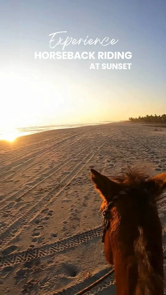 Experience the magic of a sunset like never before! 🌅🐴 Join our #SunsetHorsebackRiding tour along the beautiful beaches of #PuertoEscondido and feel the ocean breeze as the sun dips below the horizon. 🌊✨ It's the perfect way to unwind and connect with nature! 🌟 Book now for an unforgettable ride into the sunset. 🌞🐴 WhatsApp ✅👉 +52 954 133 6245. More info & bookings 👉 www.puerto-escondido.mx #HorsebackRiding #BeachVibes #PuertoEscondidoOaxaca #oaxacatravel #mexicotravel #PuertoEscondidoMexico #travelmexico #mexicomagico