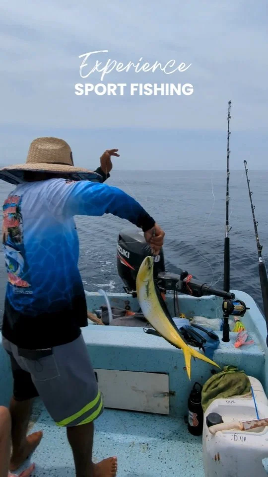Get ready for the ultimate fishing adventure! 🎣🌊 Join our #SportFishing tour in #PuertoEscondido and reel in the catch of a lifetime! 🐟🌟 Whether it’s marlins, sailfish, mahi mahi, or tuna, the ocean is full of excitement waiting for you. 🐠🐟 Book your spot now and let's fish! 🚤🎣 WhatsApp ✅👉 +52 954 133 6245. More info & bookings 👉 www.puerto-escondido.mx #FishingAdventure #SportFishing #PuertoEscondidoOaxaca #oaxacatravel #mexicotravel #PuertoEscondidoMexico #travelmexico #mexicomagico