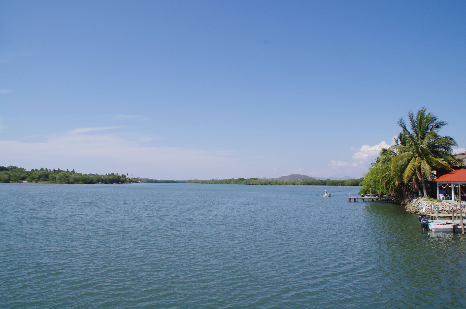Mangrove lagoon on the Oaxacan coast at sunset