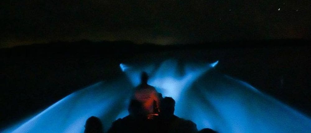 2 bioluminescence from boat