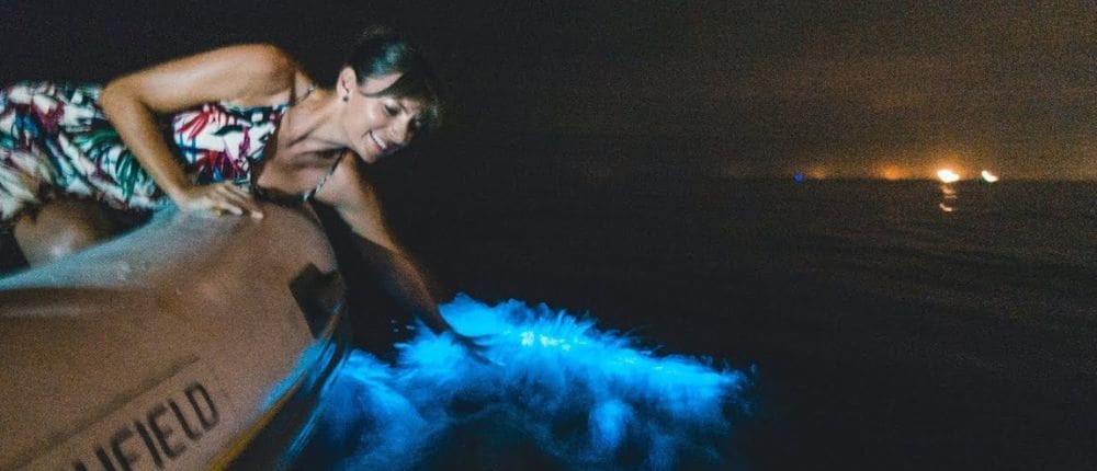 3 shaking bioluminescent plankton