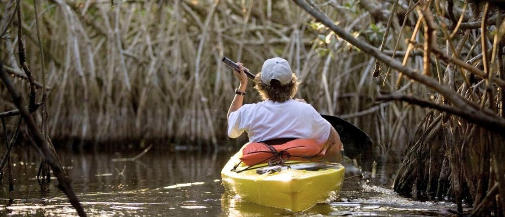 1 kayaking in Puerto Escondido Mangrove