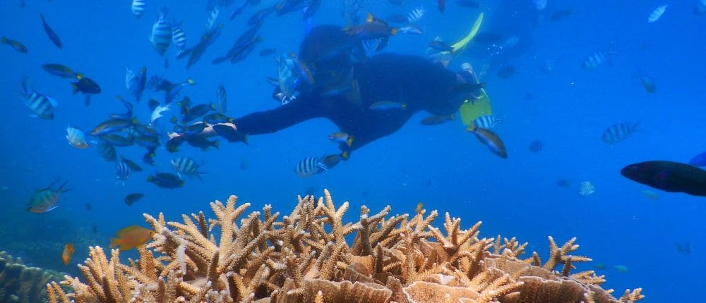 foto-banner-snorkeling1 snorkeling puerto escondido