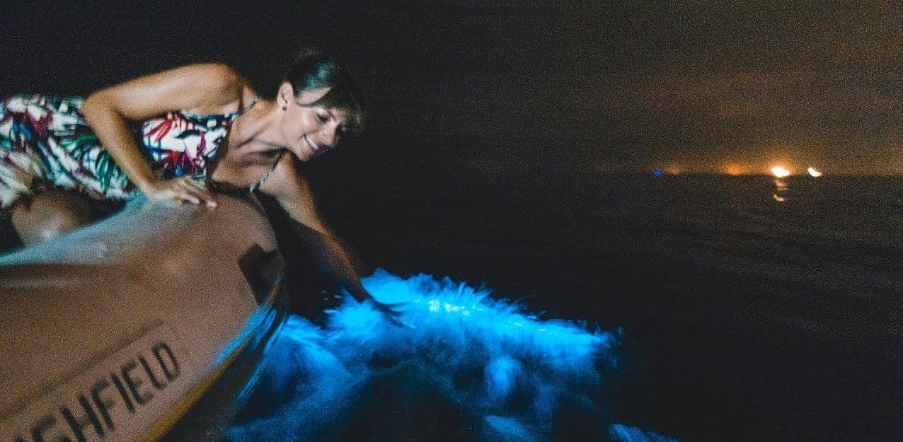 bioluminescence-2 plancton bioluminescent a Puerto Escondido